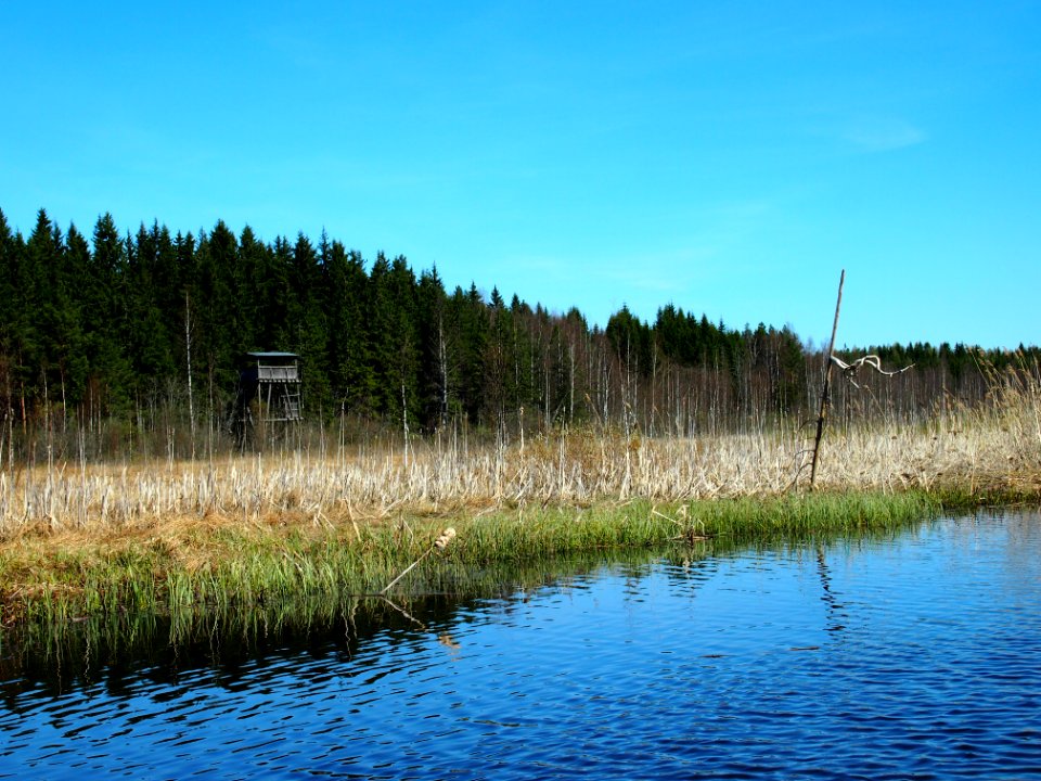 Toivanjoki, Janakkala, Finland