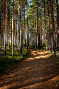 Poronpolku, Loppi, Finland
