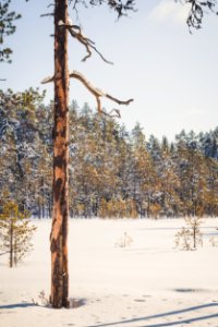 Evo, Hämeenlinna, FInland