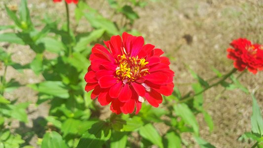 Nature bright day