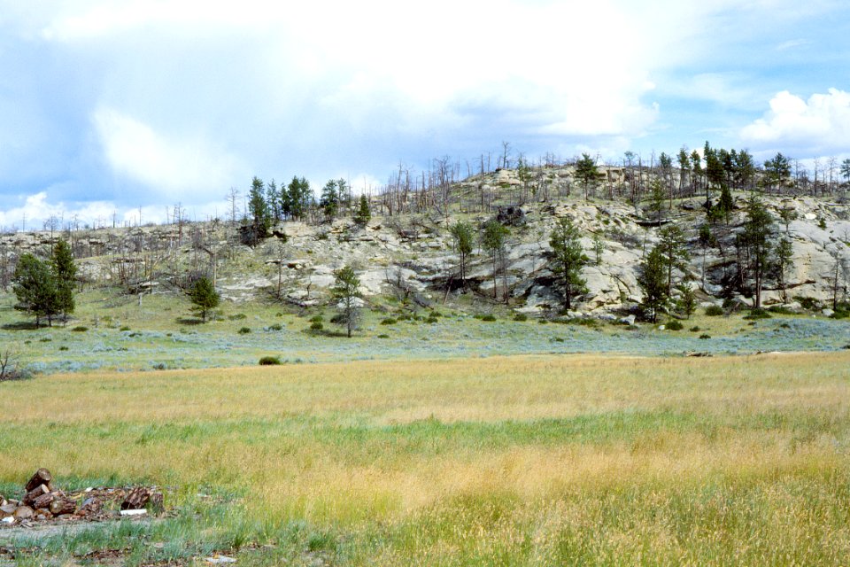 Landforms02.tif