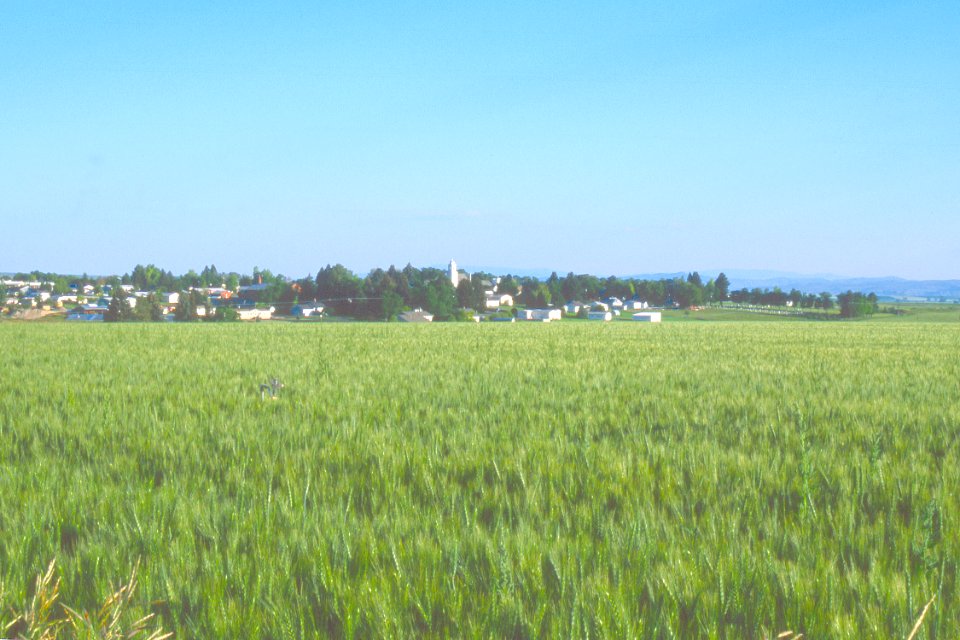 Suburban02.tif
