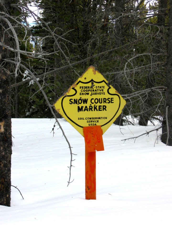 Snow Survey115