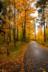 Aulanko, Hämeenlinna, Finland.