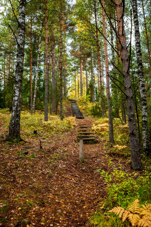Tenholan linnavuori, Hattula, Finland
