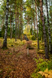 Tenholan linnavuori, Hattula, Finland