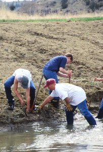 Conservation Education 15.tif