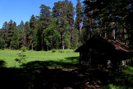 Liesjärven kansallispuisto, Korteniemen perinnetila, Hämeen Härkätie, Finland