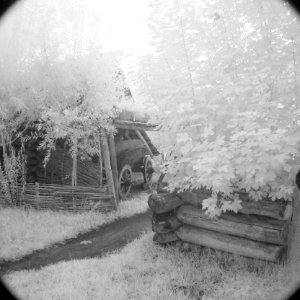 Wagon