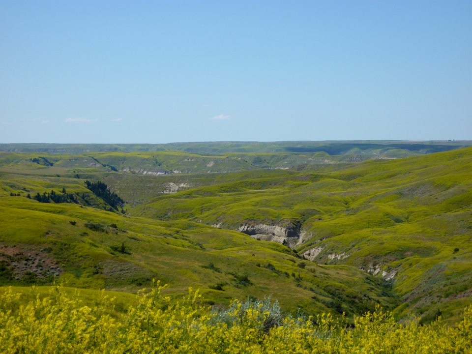 Rangeland148