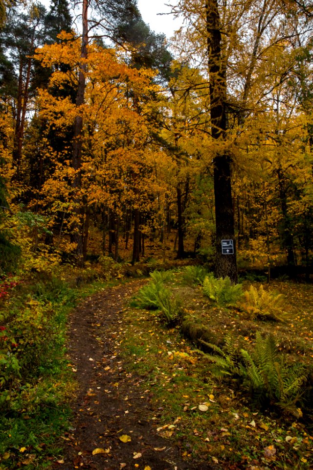 Aulanko, Hämeenlinna, Finland.