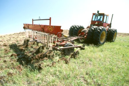 Rangeland11.tif