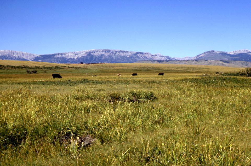 Pasture05.tif