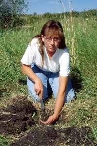 Soil Survey73.tif photo