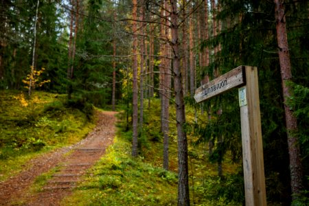 Tenholan linnavuori, Hattula, Finland