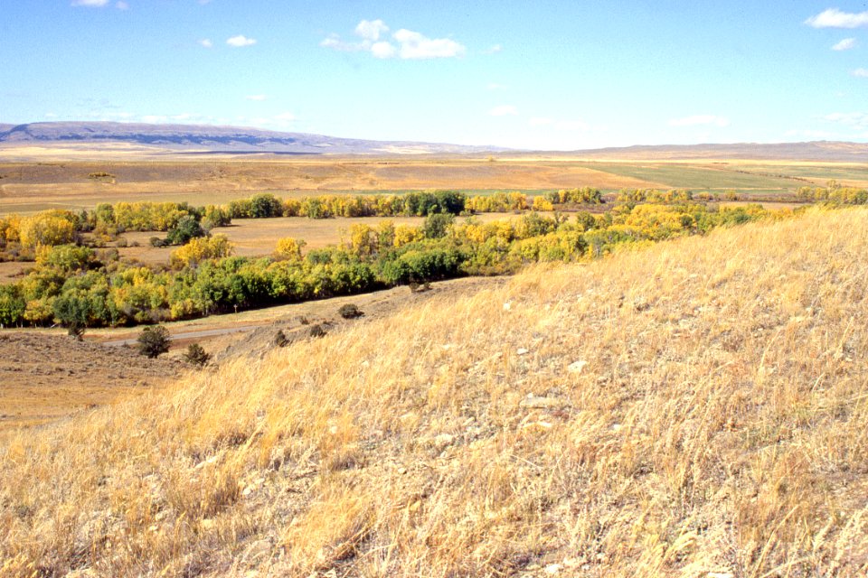 Riparian13.tif