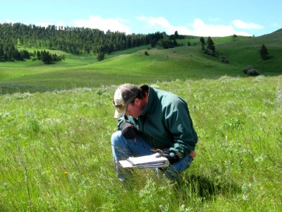 Rangeland164