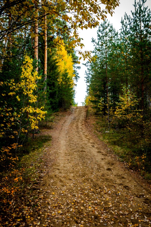 Tenholan linnavuori, Hattula, Finland