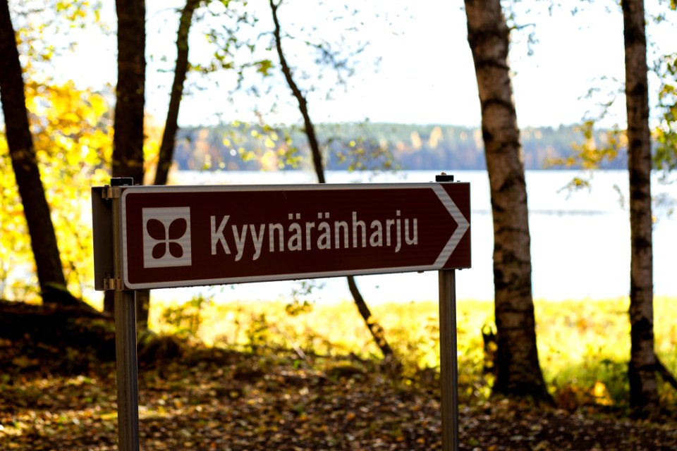 Liesjärven kansallispuisto. Tammela, Finland photo
