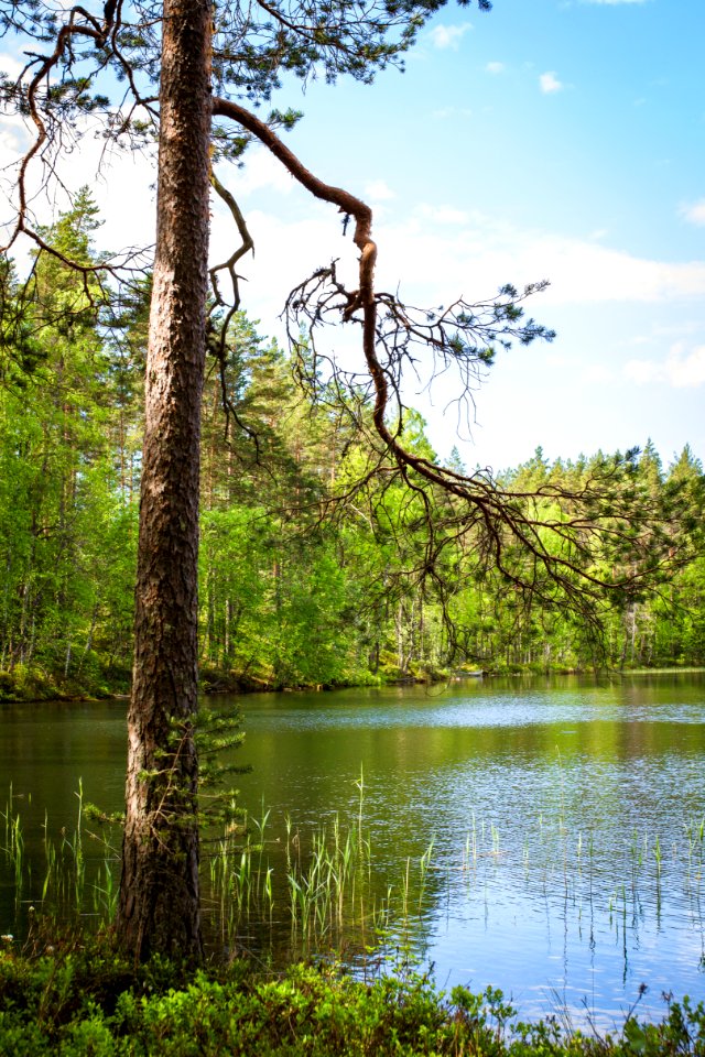 Iso-Melkutin, Loppi, Finland