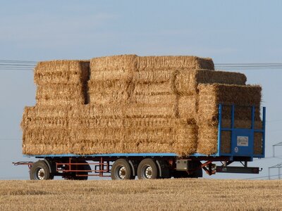 Agriculture harvest straw bales photo
