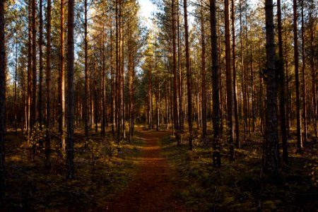 Iso-Melkutin, Loppi, Finland.