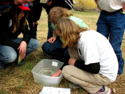 Conservation Education SH09