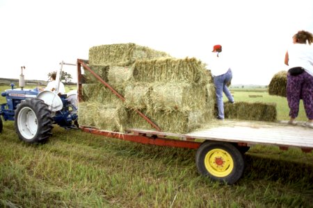 Harvest12.tif