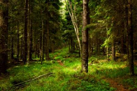 Evo Hiking Area, Hämeenlinna, Finland