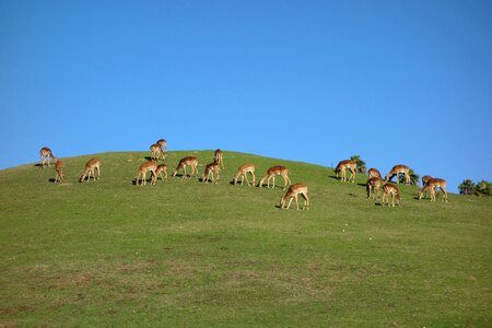 Wildlife nature park