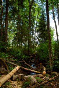 Evo Hiking Area, Hämeenlinna, Finland