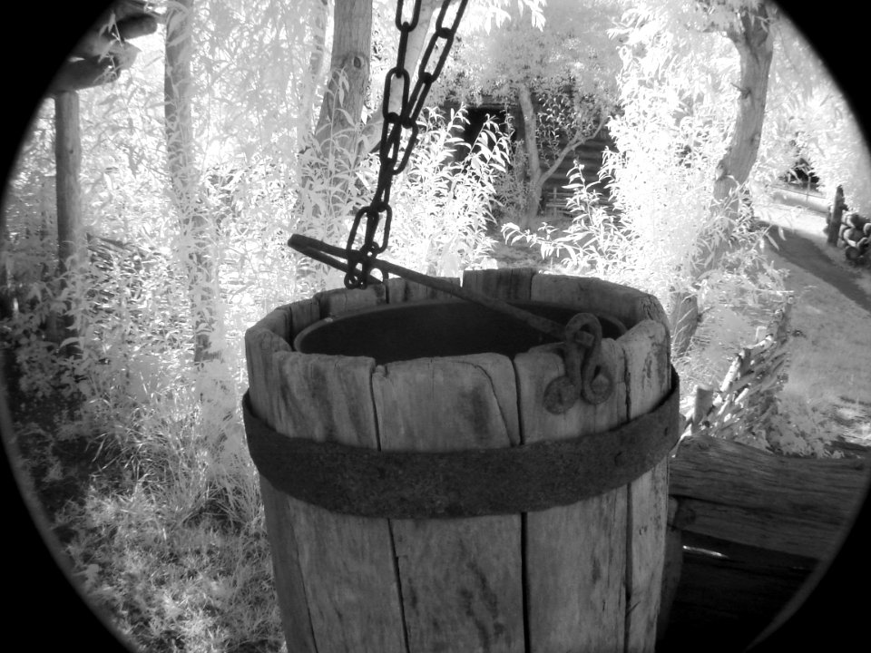 Bucket