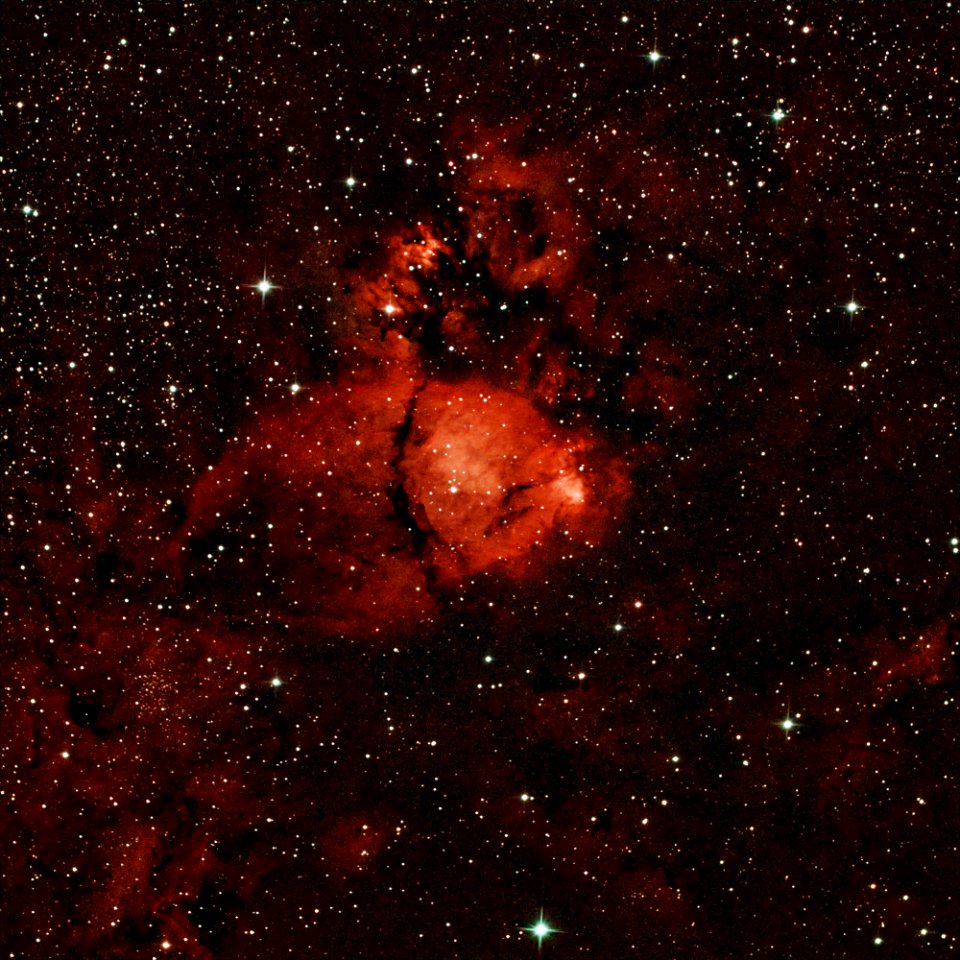 The Fish Head Nebula (IC1795)