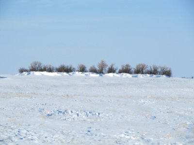 Windbreaks47