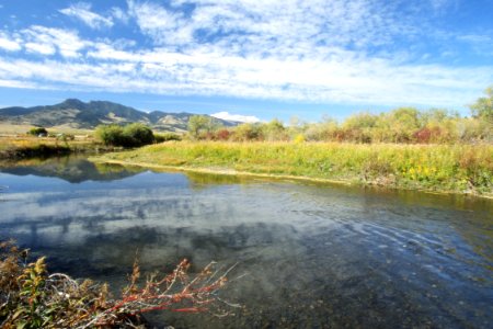 Riparian67.tif photo