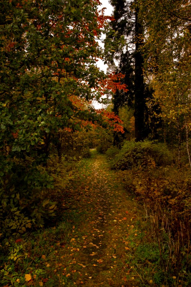 Aulanko, Hämeenlinna, Finland.