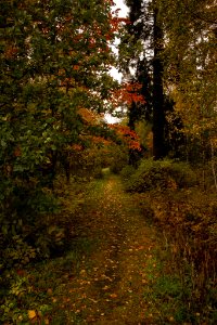 Aulanko, Hämeenlinna, Finland.