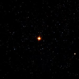 The Garnet Star photo
