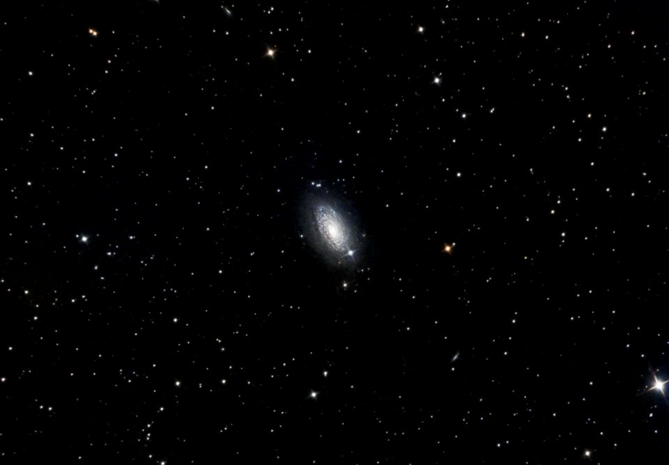 Work in Progress - Sunflower Galaxy