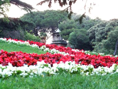 Mazzini-Genova-Liguria-Italy - Creative Commons by gnuckx