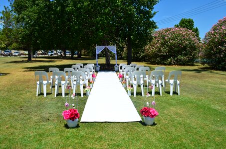 Decoration green wedding green park