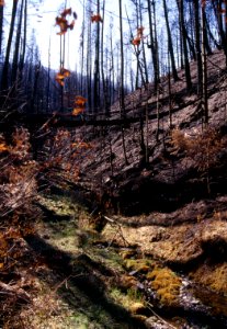 Natural Disasters32.tif