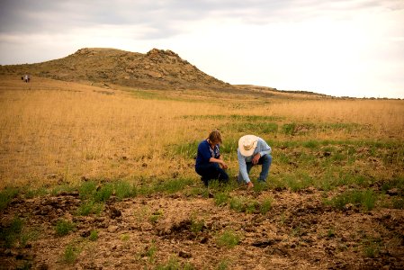 5654 NRCS projects.jpg