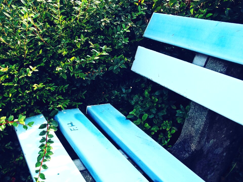 Seat bench landscape