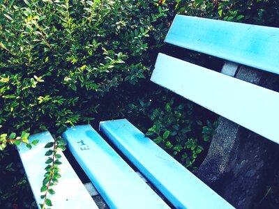 Seat bench landscape