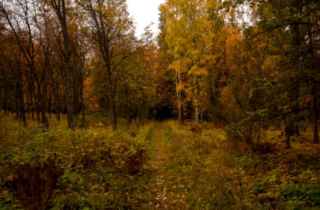 Aulanko, Hämeenlinna, Finland. photo