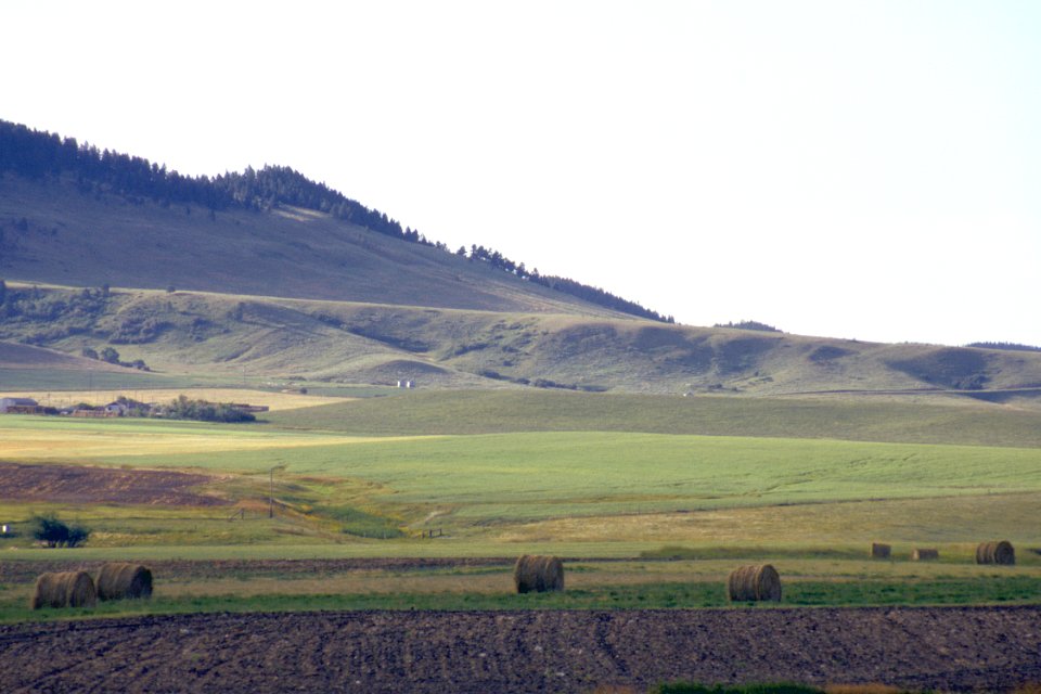Landforms04.tif