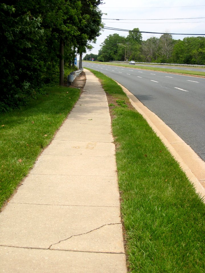 This Hill Was Where We Walked
