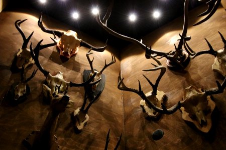 Suomen Metsästysmuseo