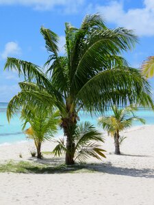 Summer vacations beach